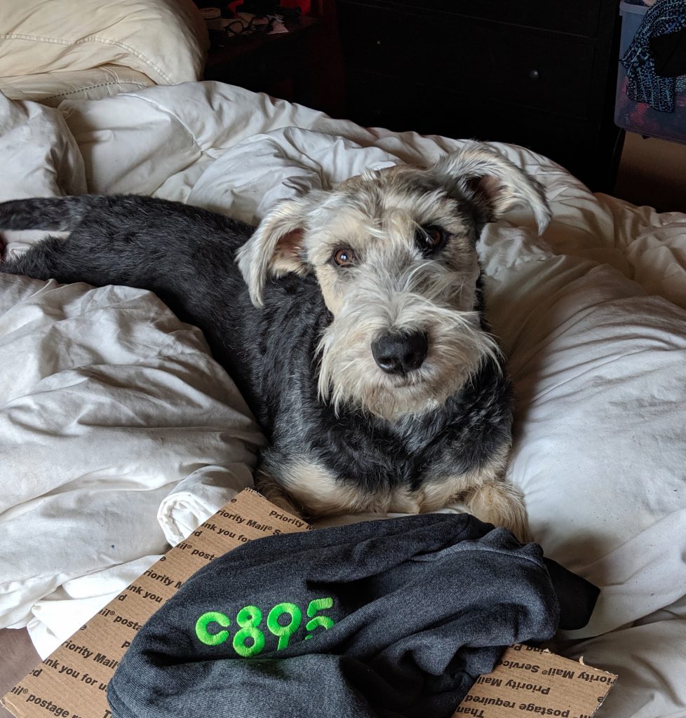Griwald of the Grey Fores the dog