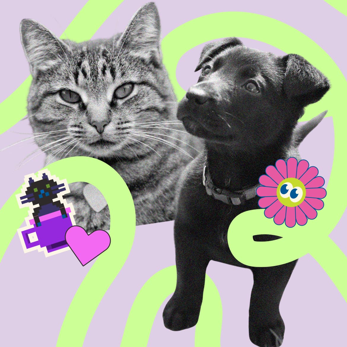 A photo of a cat and a dog surrounded by green squiggles and a sticker of a cat and flower