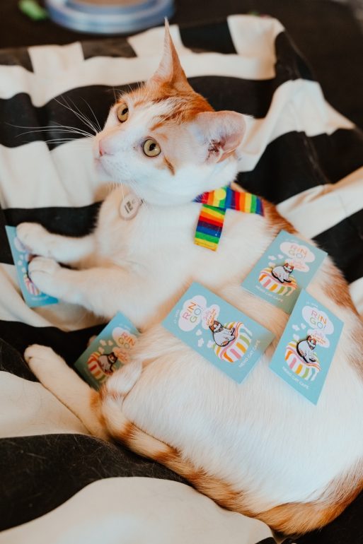 A cat with orange and white fur is lying down on a black and white striped blanket. It is wearing a colorful rainbow collar and has several rectangular cards with cartoon illustrations and the text "BIN GOO!" placed on its back.